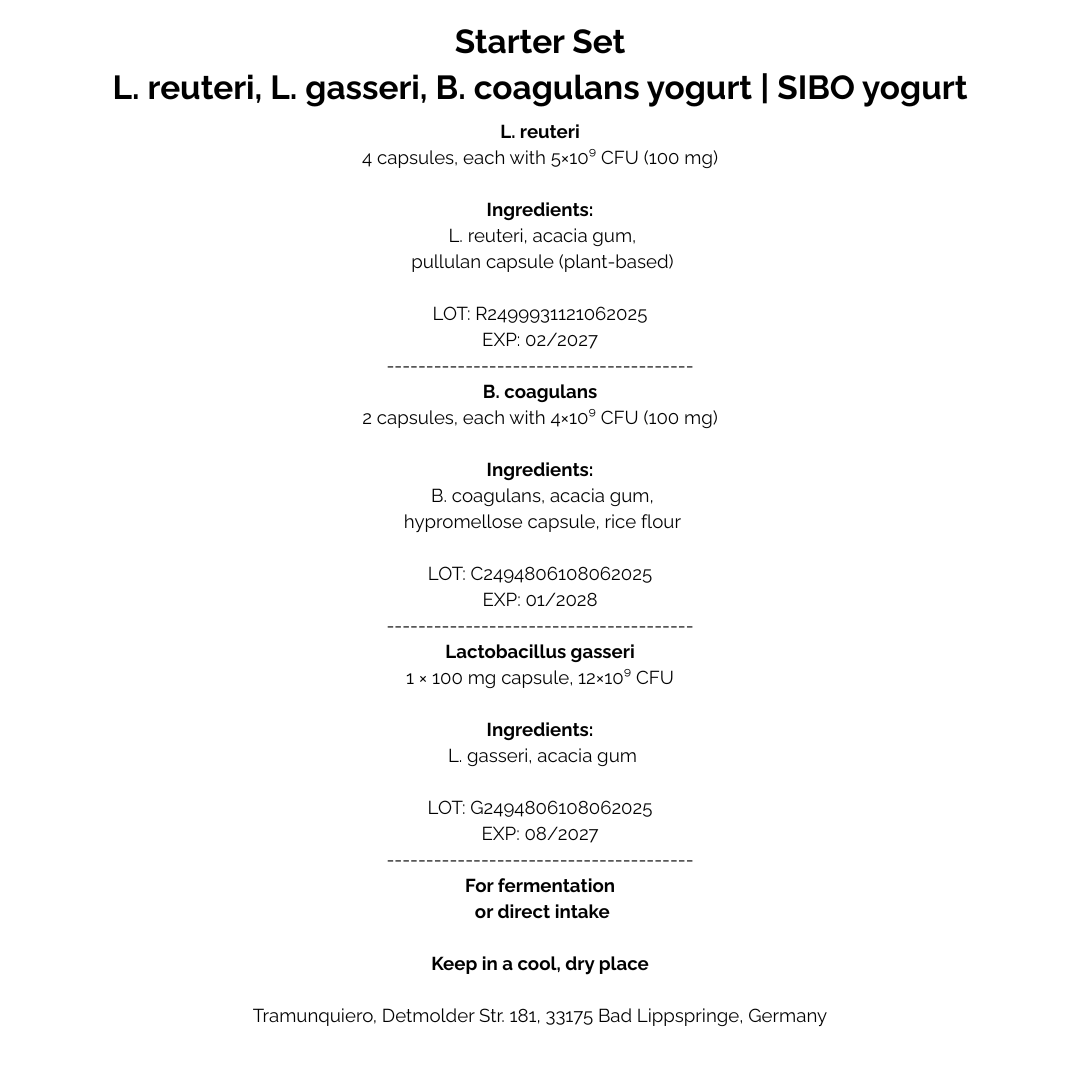 Starter-Set L. reuteri, L. gasseri, B. coagulans-Joghurt | SIBO-Joghurt